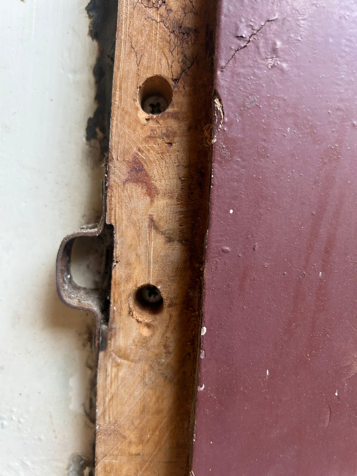 screw to the wall plan